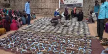 Fame, guerra e clima in Darfur: le cifre della crisi umanitaria di El-Fasher assediata