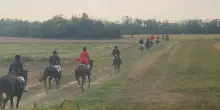 Solidarietà: la "Caccia alla Volpe - rigorosamente simulata" è sport e sostegno ai meno fortunati