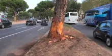 Il luogo dell'incidente a Roma dove è morta una ragazza sulla Cristoforo Colombo