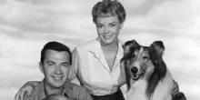 Morta a 100 anni June Lockhart di "Lassie" e "Lost in Space"