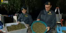 Il capannone sui monti Lattari era un laboratorio per lavorare la cannabis