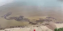 Isola d'Elba, il mare marrone dopo il nubifragio. Le immagini dal drone