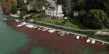 Lago di Como, grandi quantità di detriti dopo maltempo: immagini dal drone
