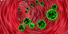 Covid & Influenza, arrivano i nuovi vaccini