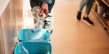 Come ridurre la plastica monouso in casa e in azienda