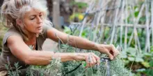 Permacultura: cos'è, come si pratica e quali sono i vantaggi