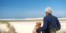 Il legame con il proprio cane: simile a quello con figli e amici stretti