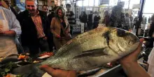 Scoprire Genova con Slow Fish tra osterie e street food