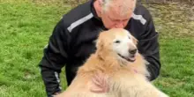 L’ultima uscita in giardino del cane Nala prima del suo addio: impossibile trattenere l’emozione