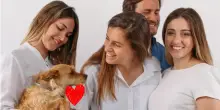 Le crocchette “taglia emissioni” per cani e gatti: a base di farina d’insetti e carne sintetica