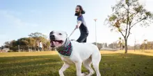 Daspo cinofilo e patentino per i proprietari di cani in tutta Italia: la legge approda in Parlamento