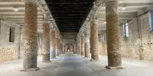 Biennale 2025: l’architettura impara dalla scienza per combattere la crisi del clima