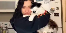 Non riesce a credere quello che fa il vicino dopo la morte del suo gatto Apollo: “Il cuore spezzato”