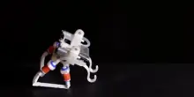 Il robot che si muove usando solo l’intelligenza del corpo e le leggi della fisica