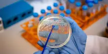 Virus, quattro super-farmaci contro le pandemie. Al lavoro sulla penicillina antivirale