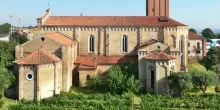 Quei vigneti urbani tra tecnologia e recupero di antichi filari