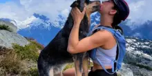 Il cane Yukon odia l’acqua ma fa qualcosa di inaspettato quando vede la sua umana piangere