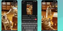TikTok adesso dà vita alle foto: l’Intelligenza artificiale è sempre più integrata nei social