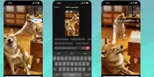 TikTok adesso dà vita alle foto: l’Intelligenza artificiale è sempre più integrata nei social
