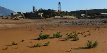 In Sardegna le piante amiche dei metalli