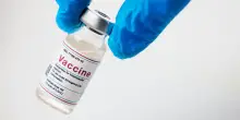 Quando il vaccino (forse) fa male: il caso Chikungunya