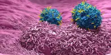 Verso una terapia Car-T contro le metastasi del tumore al colon-retto