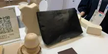 I vestiti di pelle vegana fatta con i funghi