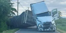 Stati Uniti, si ribalta camion pieno di alveari: in fuga 250 milioni di api, quasi tutte recuperate