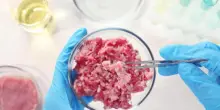 Carne coltivata, il grande rebus: pro e contro