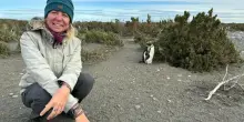 Valeria Barbi: “Un milione di specie a rischio estinzione e ci stiamo abituando”
