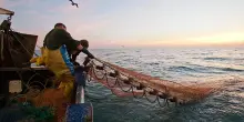 Grecia, svolta storica: vietata la pesca a strascico a Fournoi e nelle aree protette entro il 2030