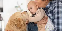 Vivere con un cane può ridurre il rischio di eczema nei bambini predisposti