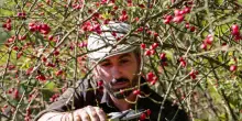 Tra le colline dell’Appennino il buen retiro dove tutto, dal cibo all’energia, è autoprodotto