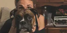 Sacrifica la vita per salvare quella del cane del suo ex fidanzato, Alicia muore travolta dal treno