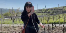 In vigna con Elena Fucci: "La mia storia, con il cuore nell’Aglianico del Vulture"