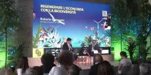 G&B Festival, Danovaro: "L'Unione europea ha approvato il Patto per l'Oceano: proteggiamolo"