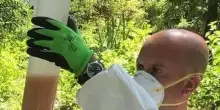 Scoperti in un suolo veneto batteri mangia-Pfas, gli inquinanti eterni