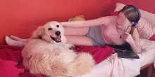 Il lieto fine del cane Gordon, cresciuto in un box: “Grazie a La Zampa ha trovato la sua famiglia”