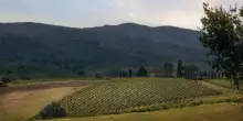 Villa Calcinaia, un tuffo nella storia con i vini “1524”
