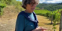 In vigna con Maurizia Di Napoli: "Panzano merita di diventare micro area del Chianti Classico"