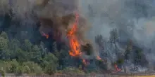 Torna il caldo ed è già allerta incendi. Ma ora l'Italia brucia meno rispetto al passato