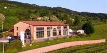 Alle porte dei Colli Berici, i vini potenti della cantina Le Pignole