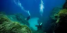 Quanto poco conosciamo gli abissi oceanici