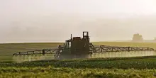 Pesticidi tossici rinvenuti nella pioggia: lo studio in Giappone