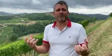 In vigna con Natale Simonetta: "Il mio Moscato speciale, nato per mia madre"