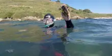 Il Mediterraneo è già estremamente caldo, +5 gradi rispetto alla media