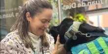 Indesiderato per il suo colore, Simba è diventato un cane da terapia in grado di “guarire ogni anima”