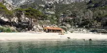 Montecristo, l’isola dove il tesoro è la biodiversità