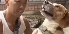 Abbandonato perché troppo rumoroso, il cane Chico salva il monaco che lo ha adottato dall'attacco di un orso