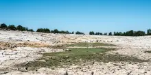 La siccità miete vittime e alimenta ingiustizie sociali: l’allarme dell’Onu